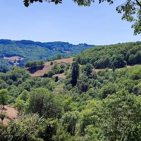 Maison Charmante A Florentin La Capelle Avec Jardin Et Vue Montagne Exterior foto
